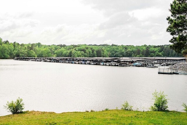 water view featuring a floating dock and a forest