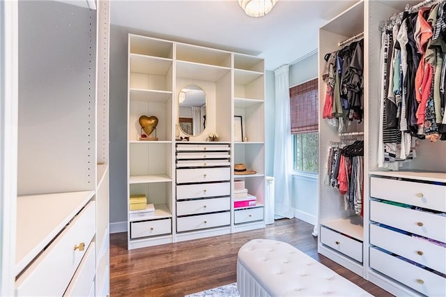 spacious closet featuring wood finished floors