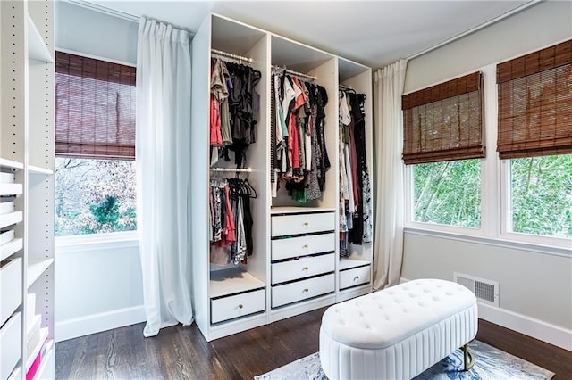 closet featuring visible vents
