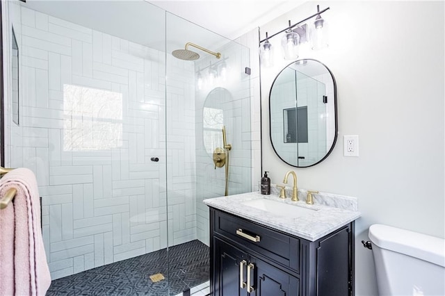 bathroom featuring vanity, toilet, and a shower stall