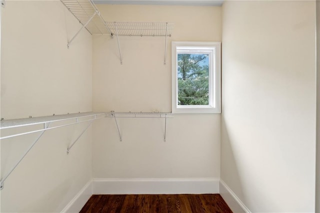 walk in closet with dark wood-type flooring