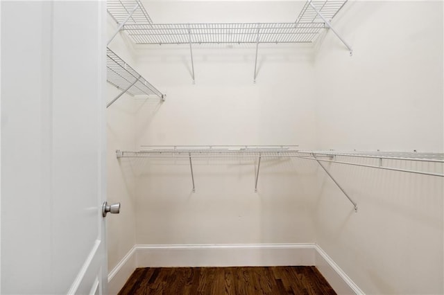 walk in closet featuring dark wood-style flooring