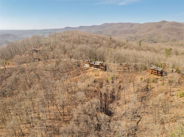 property view of mountains