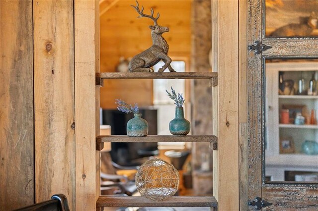 851 N Moreland Dr N, Blue Ridge, GA 30513 - view of interior details