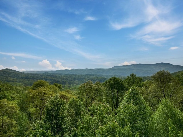 851 N Moreland Dr N, Blue Ridge, GA 30513 - property view of mountains with a forest view