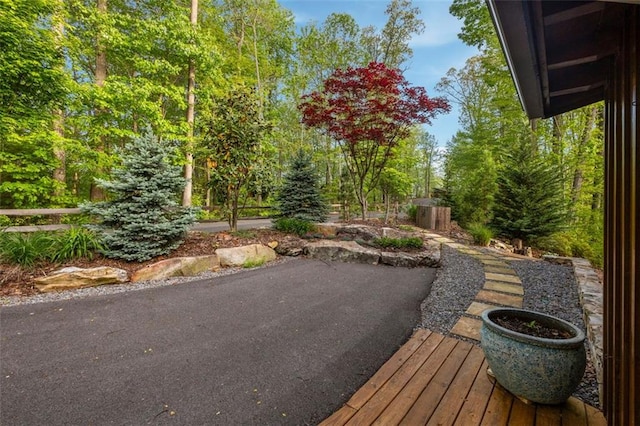 851 N Moreland Dr N, Blue Ridge, GA 30513 - exterior space