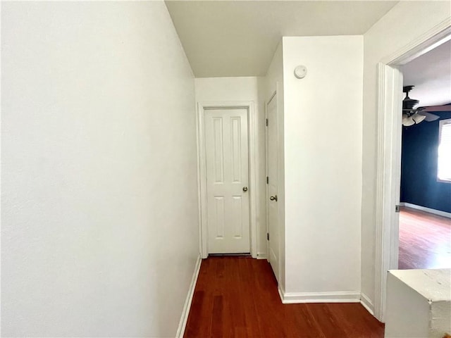 hall with dark wood-type flooring