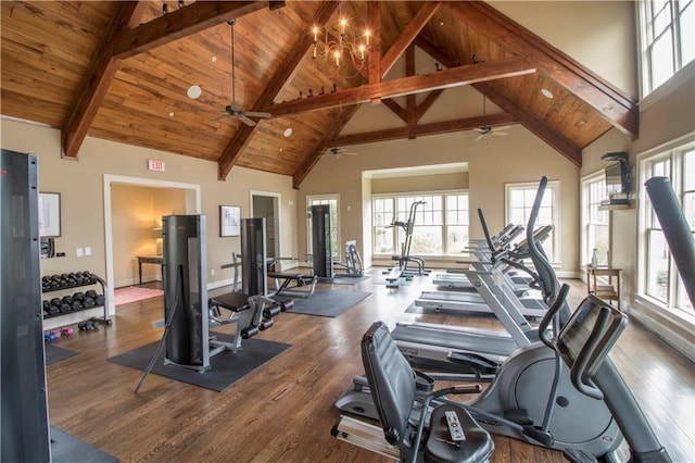 exercise room with ceiling fan with notable chandelier, a wealth of natural light, high vaulted ceiling, and dark hardwood / wood-style floors