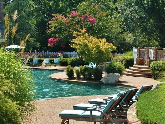 view of swimming pool