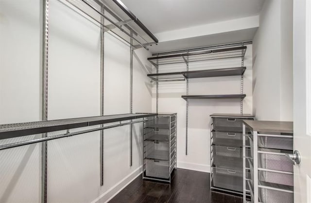 walk in closet featuring dark wood finished floors