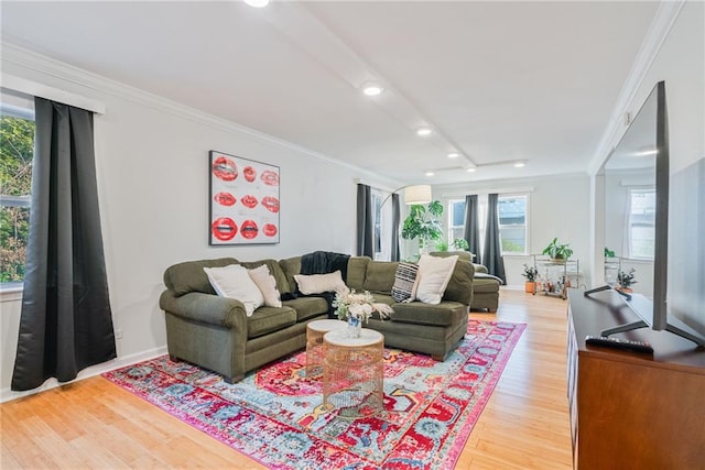 living area featuring a healthy amount of sunlight, ornamental molding, and light wood finished floors