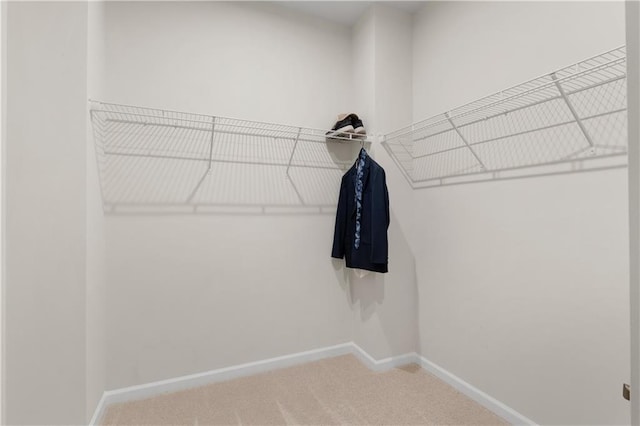 walk in closet featuring carpet