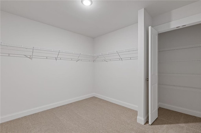 spacious closet with carpet floors