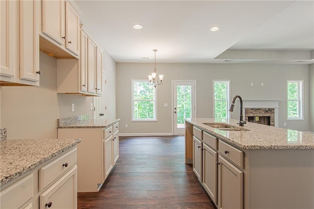 kitchen featuring plenty of natural light, dark wood-style flooring, and a sink