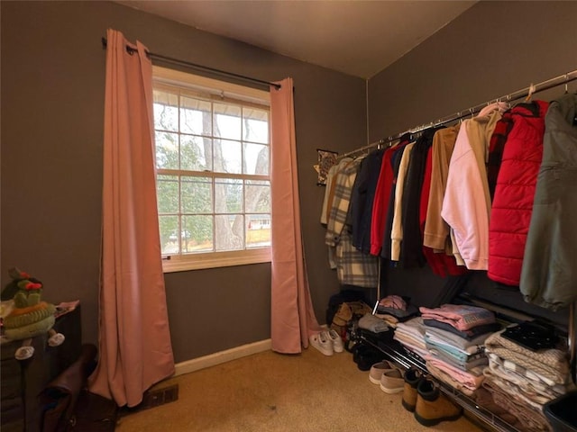 spacious closet with carpet flooring and visible vents