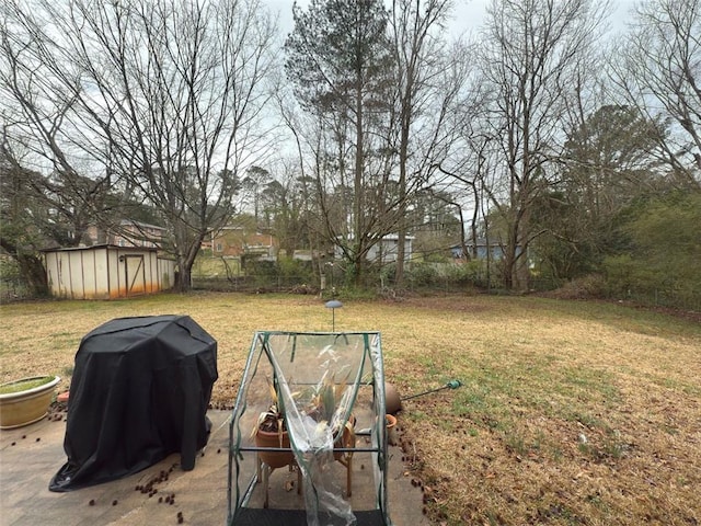 view of yard with a storage unit and an outdoor structure