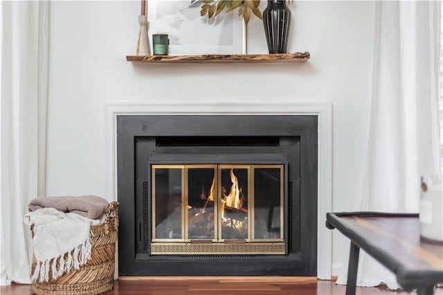 room details with a glass covered fireplace