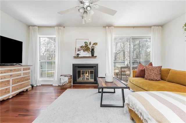 living room with a glass covered fireplace, ceiling fan, and wood finished floors