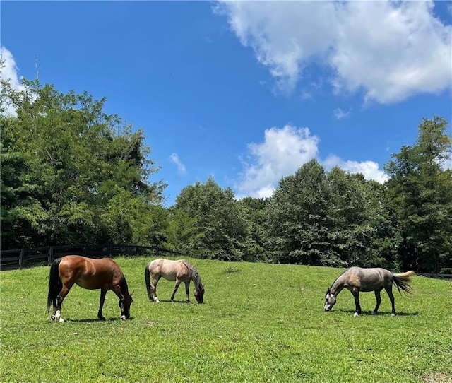 view of community with a yard and a rural view