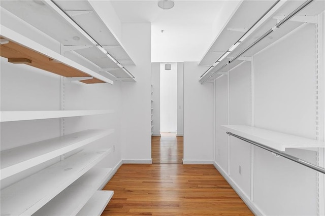 walk in closet featuring light wood finished floors