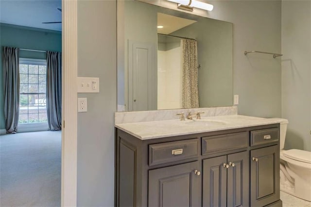 bathroom featuring vanity, toilet, and curtained shower