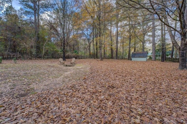 view of yard featuring a shed