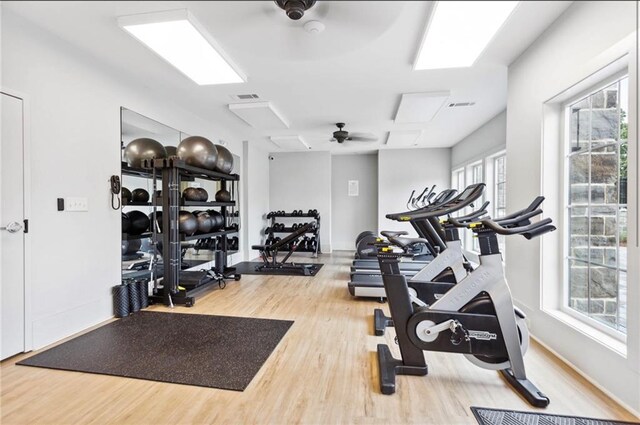 workout area with ceiling fan, light hardwood / wood-style floors, and a healthy amount of sunlight