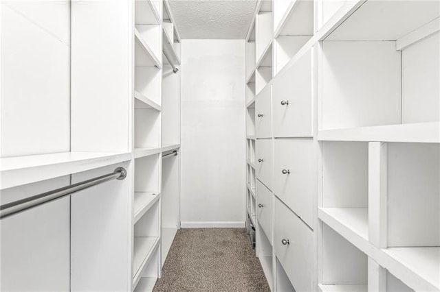 walk in closet with carpet flooring