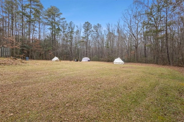 view of yard featuring a shed