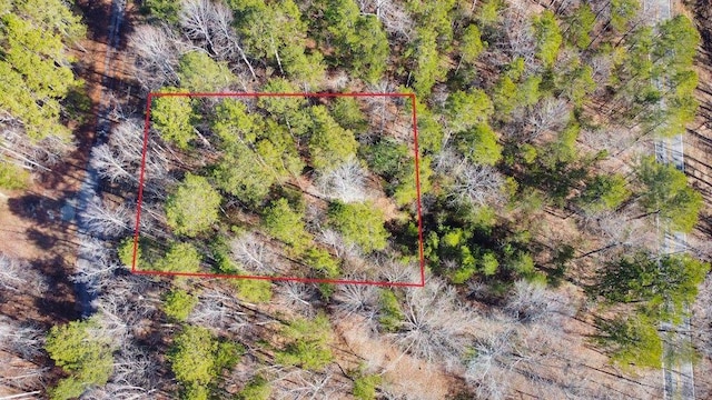 137 Cheyenne Trl, Martin GA, 30557 land for sale