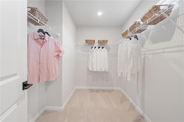 walk in closet featuring light carpet