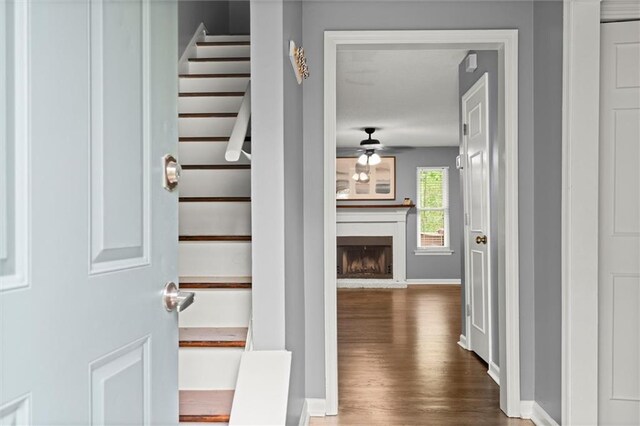 interior space with a fireplace with raised hearth, stairway, ceiling fan, dark wood-style floors, and baseboards