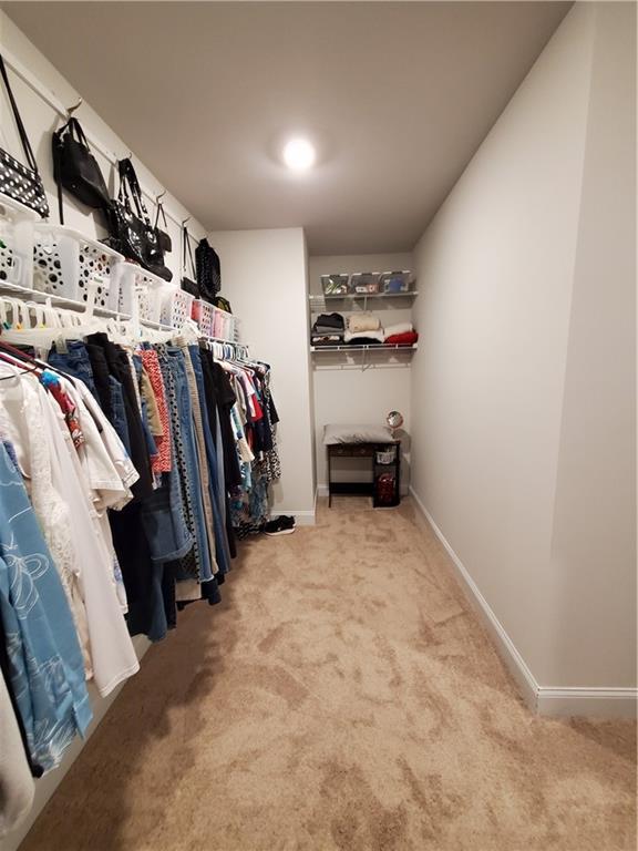 walk in closet with light carpet