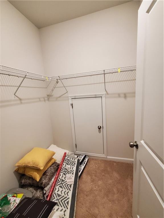 spacious closet featuring light carpet