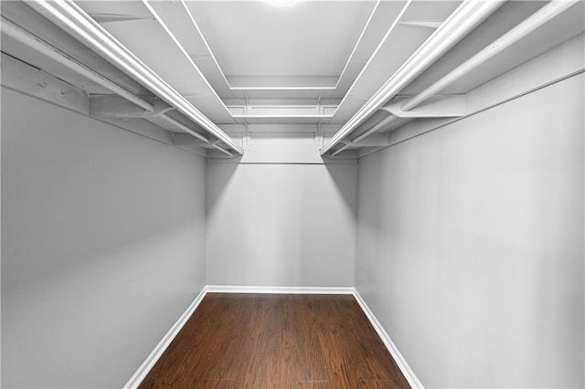 walk in closet featuring dark wood-type flooring