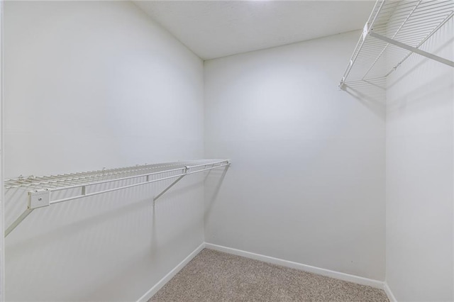 223 Tuxworth Cir, Decatur, GA 30033 - walk in closet featuring light colored carpet