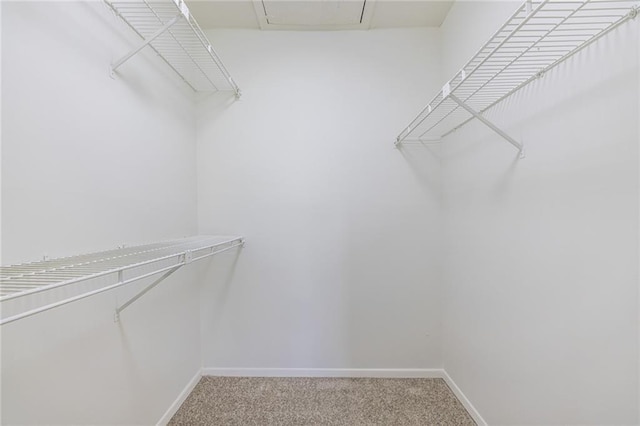 223 Tuxworth Cir, Decatur, GA 30033 - spacious closet with attic access and light colored carpet