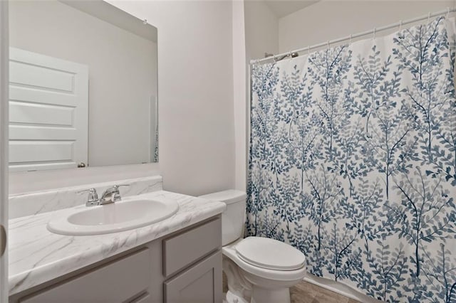 4117 Flat Rock Pt, Stonecrest, GA 30038 - bathroom featuring vanity, toilet, and a shower with shower curtain