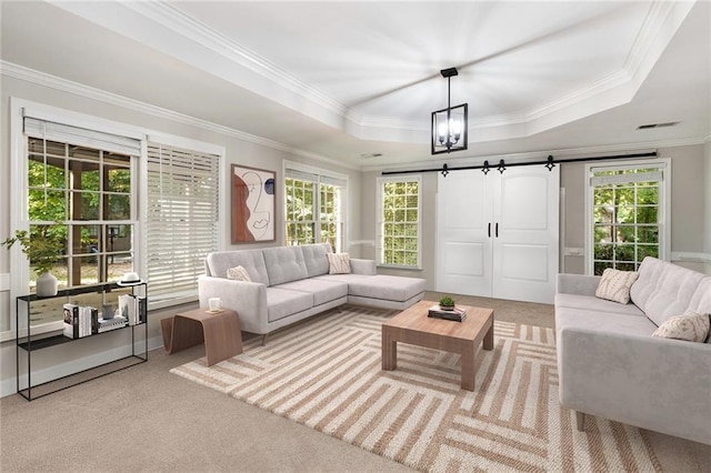 carpeted living room featuring crown molding, a raised ceiling, and a barn door