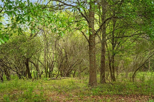 0 Mountain Rd, Alpharetta, GA 30004