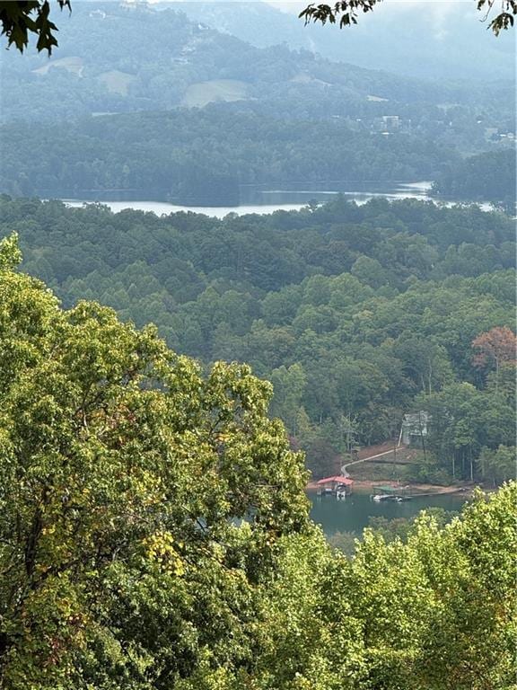 property view of mountains with a water view