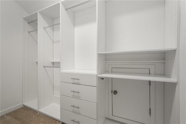 walk in closet featuring carpet floors