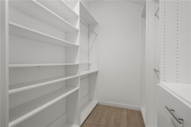 walk in closet with carpet