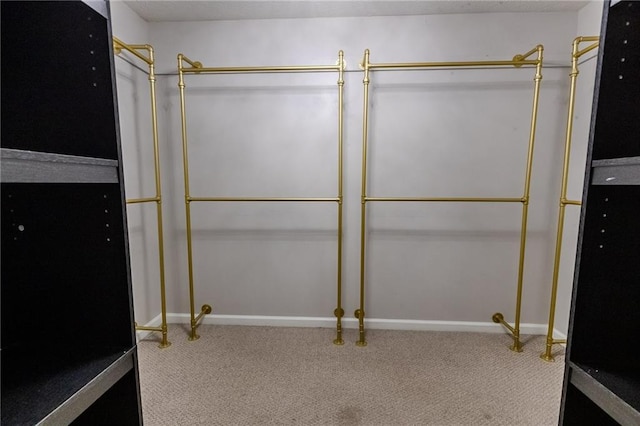 335 Wilma Ct SW, Atlanta, GA 30331 - spacious closet featuring carpet floors