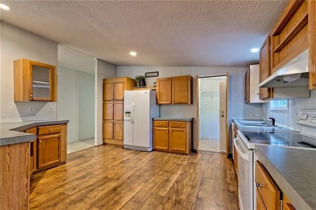 kitchen featuring white appliances, under cabinet range hood, a sink, wood finished floors, and a textured ceiling
