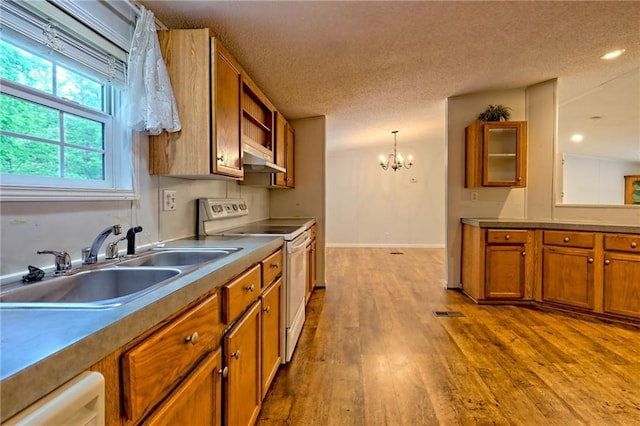 kitchen with white electric range, a sink, brown cabinetry, a chandelier, and dark wood-style flooring