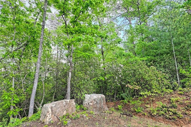 view of woods
