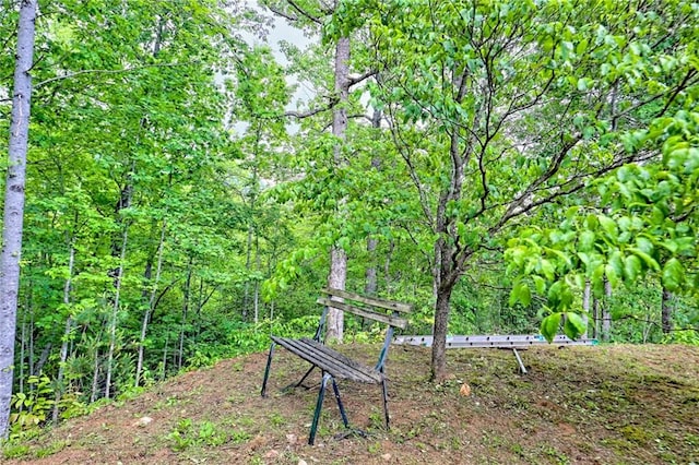 view of property's community featuring a forest view