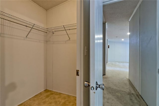 spacious closet featuring carpet floors