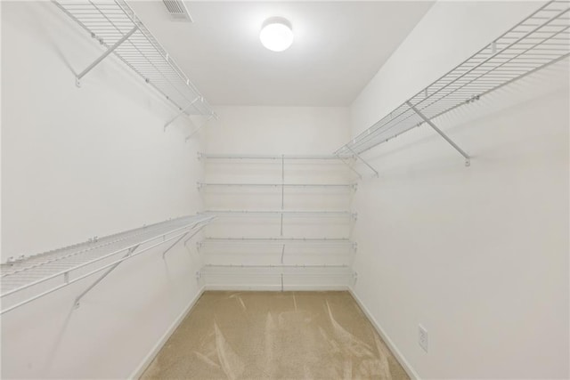 230 Collins View Ct, Lawrenceville, GA 30043 - walk in closet featuring light colored carpet